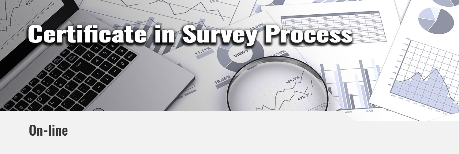 Certificate in Survey Process Banner